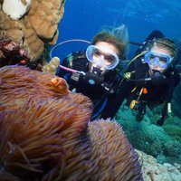 Quicksilver Dive 4 Day PADI Learn to Dive Course