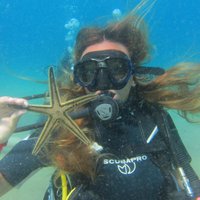 Try a DIVE, discover scuba diving in Mykonos