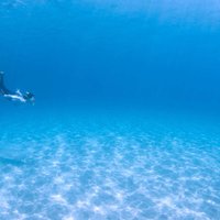 Let's swim with sea turtles in Yakushima!Snorkeling Tour