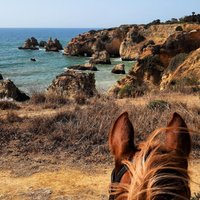 Algarve - Exclusive horseriding in Portimao (no experience required)
