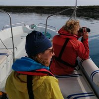 Faro Birdwatching on Solar Boat Ria Formosa