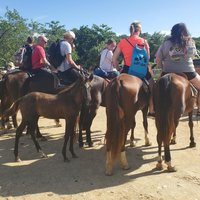 Roatan Excursion: Horseback Ride / Sloths park / Snorkel With Beach Break