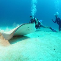 St Maarten Scuba Diving for Certified Divers