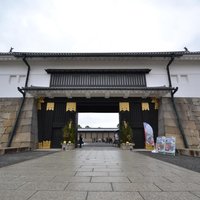 Nijo Castle and Imperial Palace Visit with Guide