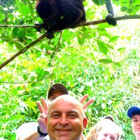 Private Altun Ha Maya Ruin & Howler Monkey Adventure From Belize City