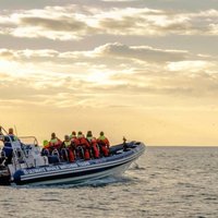 Small-group Whale Watching in the Midnight Sun from Reykjavík