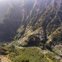 Funchal Private Vehicle Service with Driver for a Half Day or Full Day