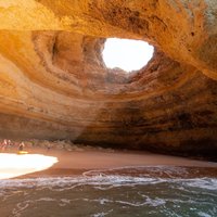 Albufeira: Dolphins and Caves Private Tour