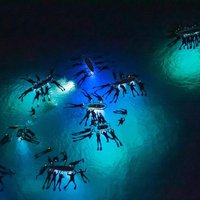 Manta Ray Night Snorkel Adventure