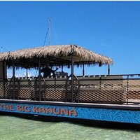 Big Kahuna Sunset Dolphin Cruise Experience