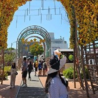 Busan in Bloom: 2 Days of Coastal Beauty and Calm