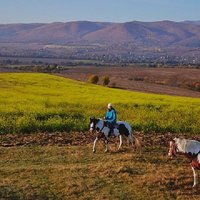 Escape Sofia: horse ride through Bulgaria's beauty