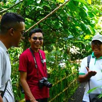 Highlight of Bali Tour