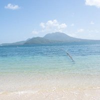 Cockleshell Beach Excursion, Snorkeling and Scenic Views