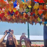 The Busan Coastal & Cultural Private Tour