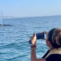 Whale Watching Experience in Puerto Vallarta