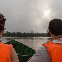 Sandakan 3 Day Sukau Rainforest Wildlife Journey and Cruises