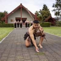 Rotorua: Te Rā Guided Experience + Haka