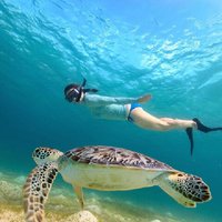 (ALL- IN) Bali Snorkeling Blue Lagoon with Waterfall Visit