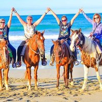 Horseback riding in punta cana beach and Bayahibe + Free Gift