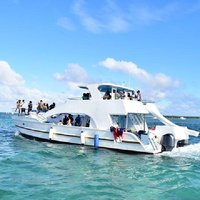 Punta Cana Booze Cruise, Snorkeling, Sand-Bar with Entertainment