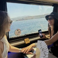 Private Mykonos Island tour by Luxury Minibus up to 11 passengers