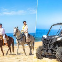 COMBO Horseback Riding & UTV Tour