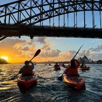 Sunrise Paddle Session on Sydney Harbour (single kayak)