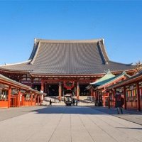 Private Tokyo Tour with English Speaking Driver