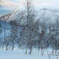 Guided Tromsdalen Snowshoe Adventure Starts Here