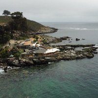 Zapallar and Papudo Tour with Penguins and Horseback Riding