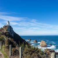 Te Anau to Dunedin Via The Catlins Small-Group Tour (One-Way)