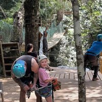 PRIVATE Zipline & Baboon Sanctuary Experience