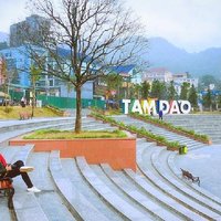 Ha Noi : Tam Dao Tour Full Day Private Car ( Mist Mountain )