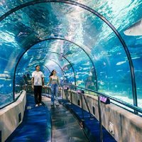 Barcelona City Tour Hop-On Hop-Off and Aquarium