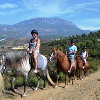 Alanya: Horseback Riding in Taurus: Forest Sea Views 2.5 Hours