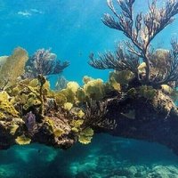 Aqua Adventures Boat Excursion Half Day