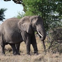 2-Day Tarangire & Ngorongoro Crater Safari
