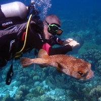 Private VIP Certified Scuba Diving in Curaçao