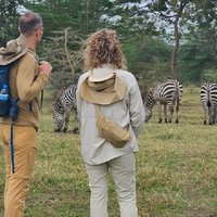4-Days Private Luxury, Tarangire, Crater, Mto wa mbu & Materuni