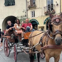 Lucca Classic – Carriage Tour in the Old Town