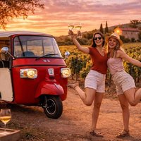 Olbia: Private Tuk-Tuk Tour + Winery Tasting + Pickup