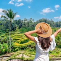 Ubud Highlights: Private Monkey Forest, Rice Terrace and Swing