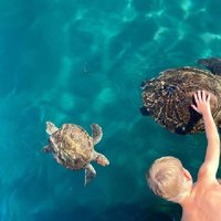 Zakynthos Glass Bottom Boat Tour to Keri Caves and Turtle Island