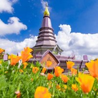 Full Day Doi Inthanon and Pha Dok Siew Trek from Chiang Mai