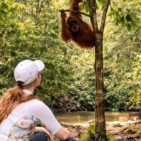 Sumatra : 2-Day Orangutan Trekking and River Tubing Tour