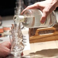 Rakija Tasting and Zemun Tour Premium Distillery Experience