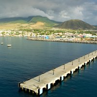Exotic Island Tour from Basseterre