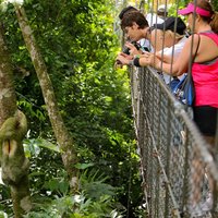 Pure Trek Canyoning & Hanging Bridges Combo in La Fortuna