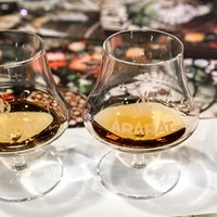 Yerevan Brandy Factory: Armenian Brandy Tasting Tour